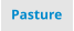 Pasture