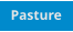 Pasture